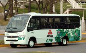 Marcopolo Senior Agrale MA 9.2 Green GNV '2003